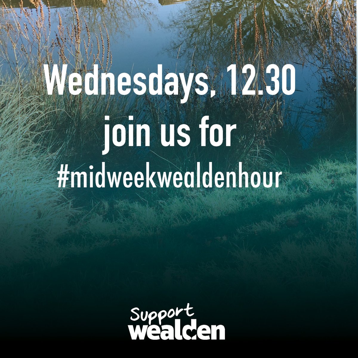 SupportWealden tweet media