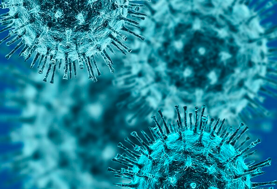MarcGozlan's tweet photo. Comment le SARS-CoV-2 peut évoluer en variant préoccupant chez un individu immunodéprimé. À lire sur 'Réalités Biomédicales' https://t.co/bV0TtThuh7 https://t.co/ehez4UWYP3