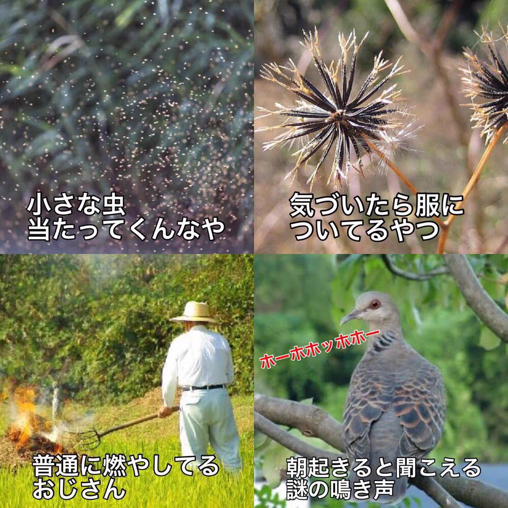 田舎に住んだことのある人なら分かる！田舎あるある！！