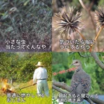 田舎に住んだことのある人なら分かる!田舎あるある!