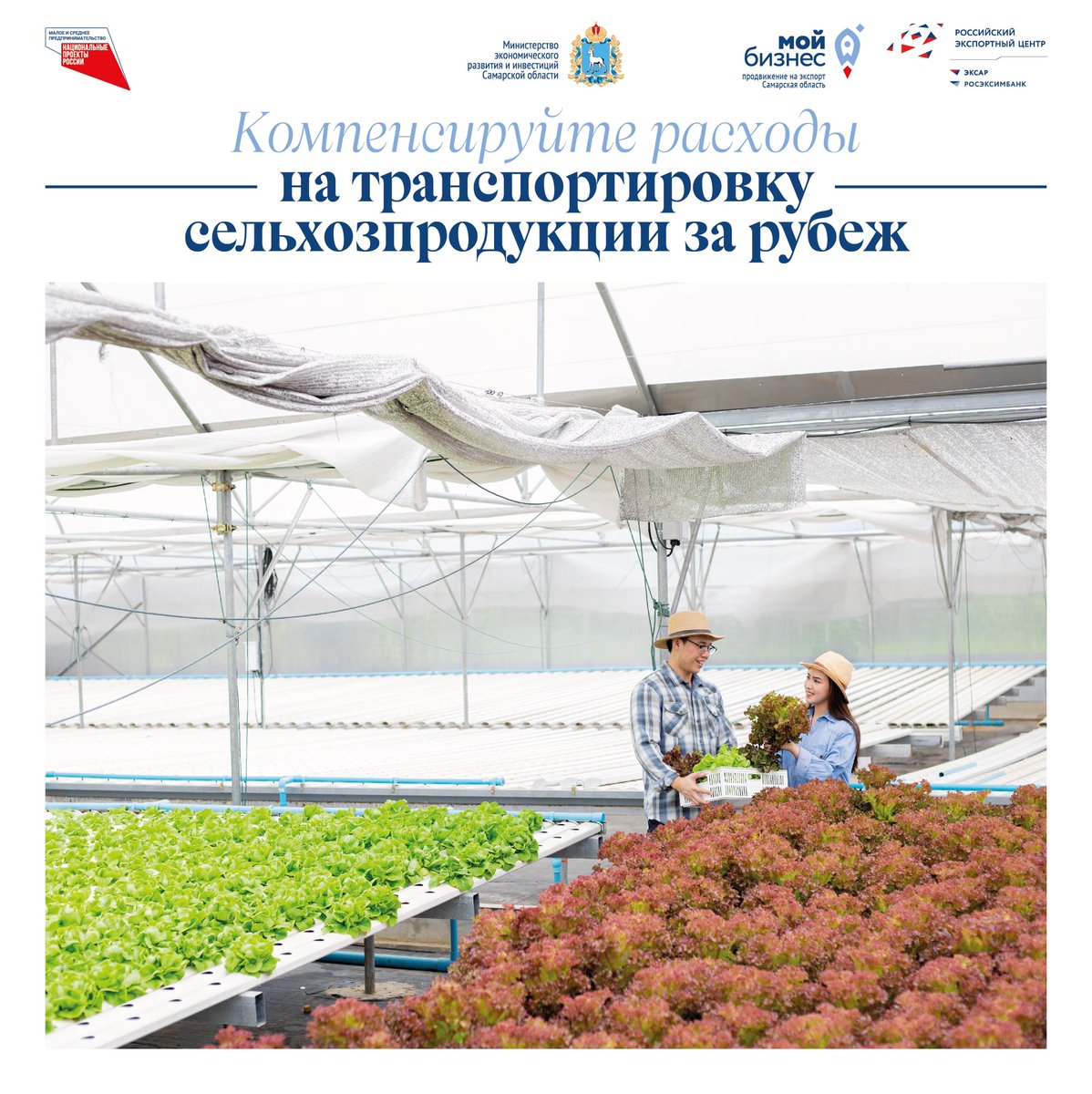 Компенсируйте расходы на транспортировку сельхозпродукции за рубеж
⠀
С 26 января 2022 года на цифровой платформе «Мой экспорт» стартует прием заявок от экспортеров на компенсацию расходов на транспортировку товаров АПК. Подробнее — vk.com/wall-181798093…