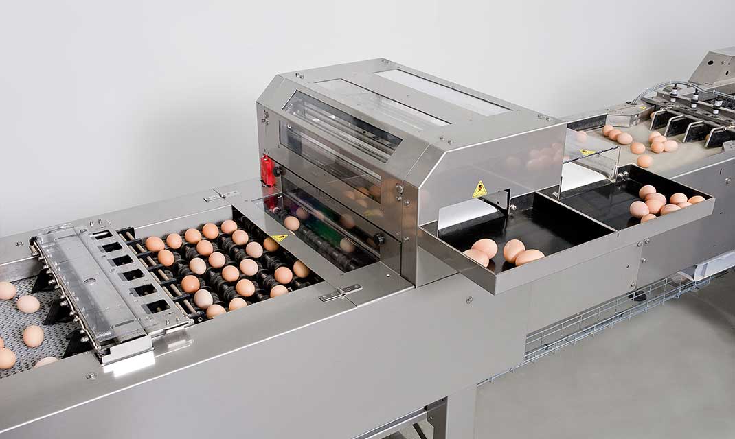 VencomaticGroup's tweet photo. Weighing and grading of eggs. Compact design of the Ovograder is simple to fit in between the egg collecting belt and the packer. #eggs #weighing #sorting #poultry #egghandling -https://t.co/gCIIkIqPsP https://t.co/DKNw0RwSGs