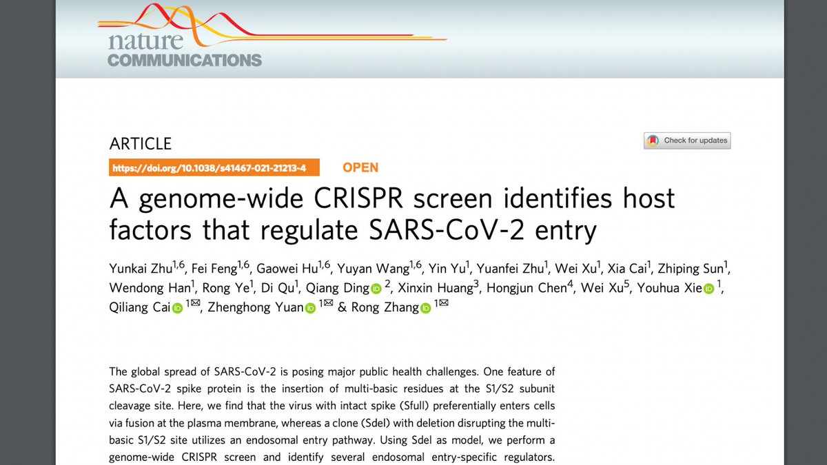 moligotech tweet media