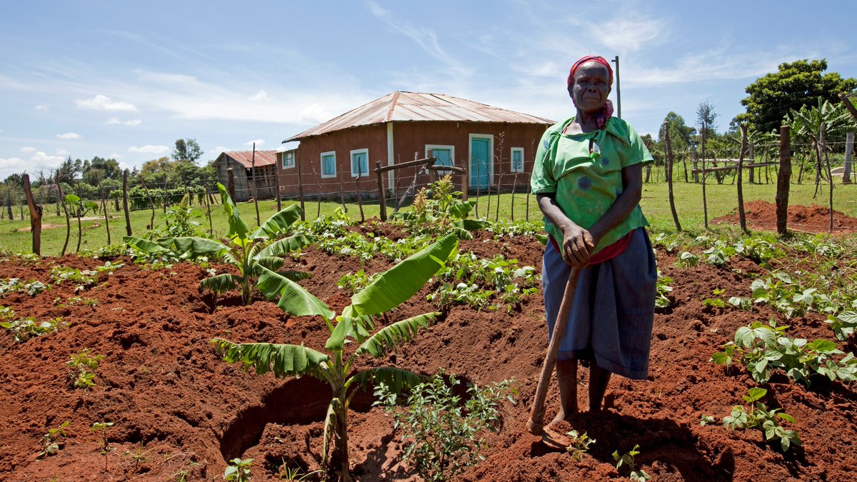 International Fund for Agricultural Development tweet media