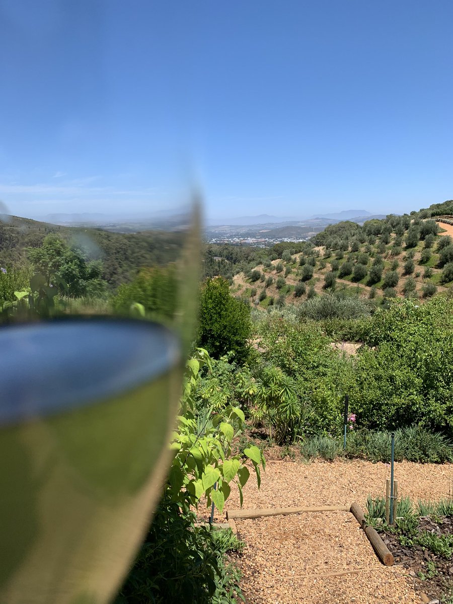 Angela Lloyd tweet media