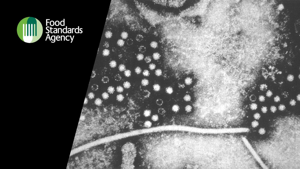 foodgov's tweet photo. We've published a new report on a Thermal Inactivation Model for Hepatitis E Virus (HEV).

The risk to consumers remains low and we continue to work with stakeholders to investigate HEV.

Download the report: https://t.co/thDDmMThFP https://t.co/r8rDmesFfq