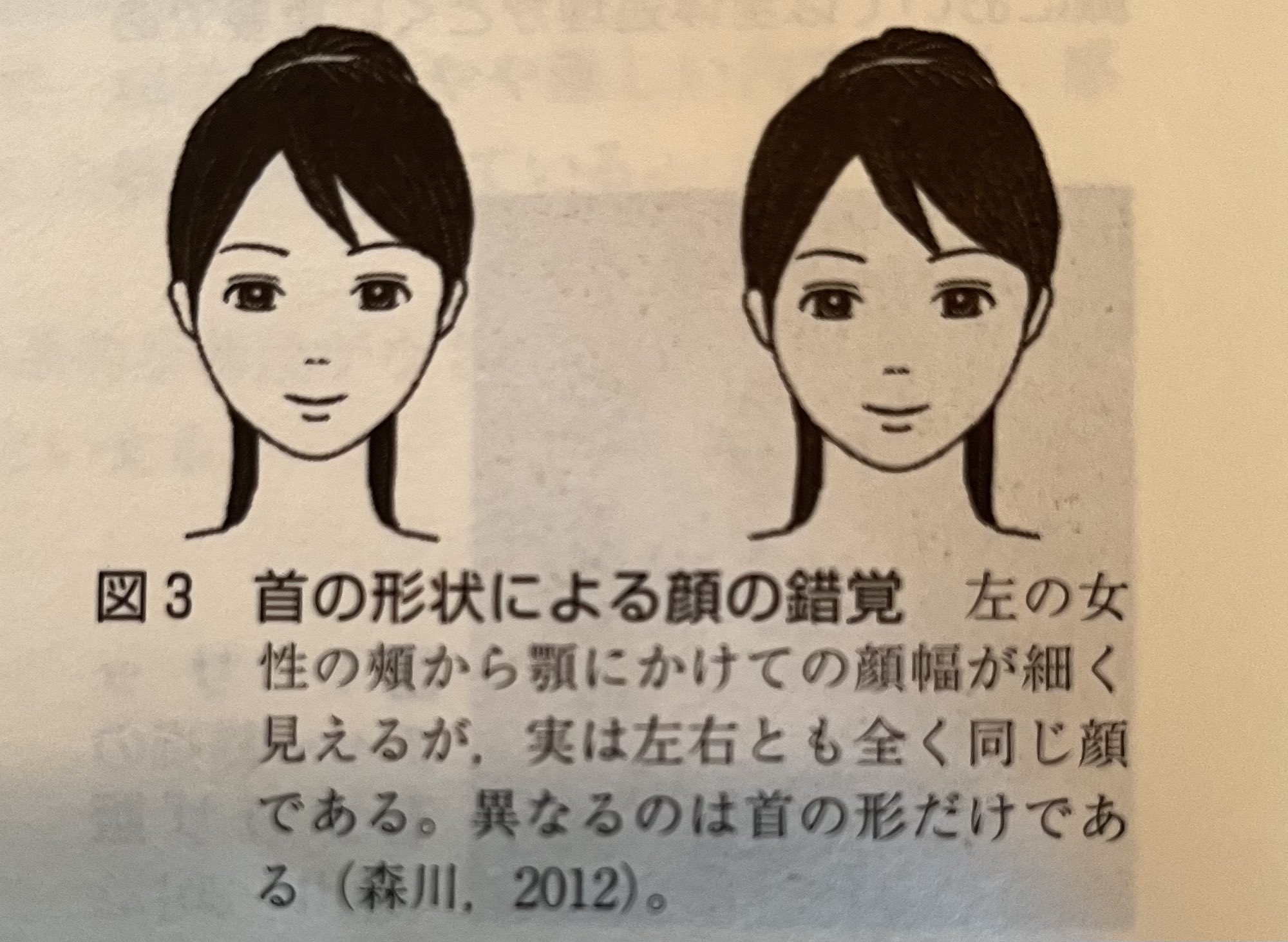 みりん 首が細い方が顔が小さく見えることが認知心理学の授業中に示されてました 胸鎖乳突筋を程よく鍛えてほっそりさせよう T Co Idtmv3a0y2 Twitter
