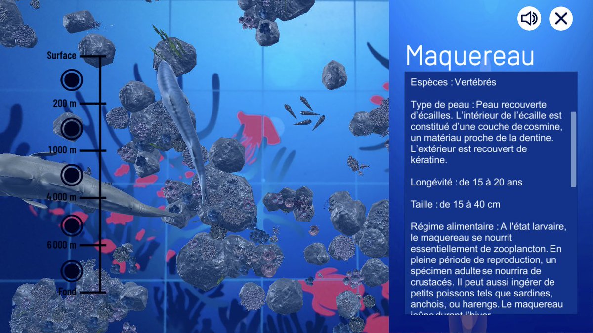 educationdigi's tweet photo. #EducAR #Océan : Plongez dans l’océan Atlantique avec notre app en réalité augmentée et découvrez ce qui se passe sous l’eau !
2 modes : 
➡️découverte des vivants
➡️préservation (=sensibilisation à la pollution de nos océans)
#education #AR #app 
Educ-AR : Océan 🔛iOS et Android https://t.co/h6IDx97QWH