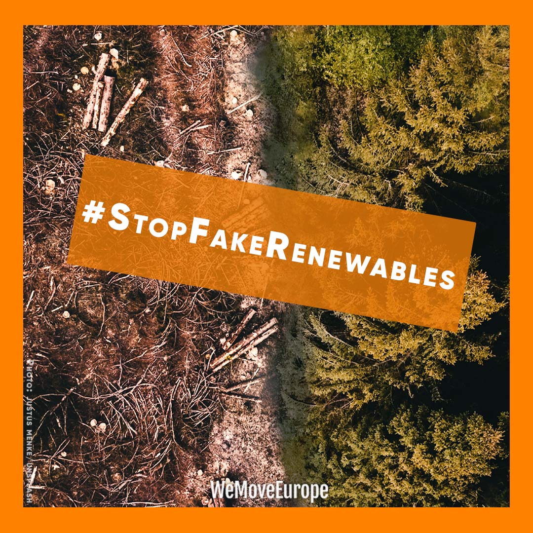 mbvcxy's tweet photo. @woelken Die Verbrennung von Wäldern für Energie beschleunigt die Klimakrise 🌲🔥. Es ist keine "erneuerbare Energie". Die Wälder leiden bereits und verschwinden in einem Tempo wie seit Jahrzehnten nicht. Schützt sie. JETZT. #StopFakeRenewables https://t.co/6ZupEdhbhf
