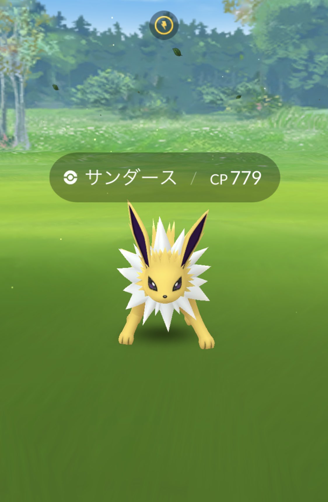 シメイダシャ Shimeidasha0626 Twitter