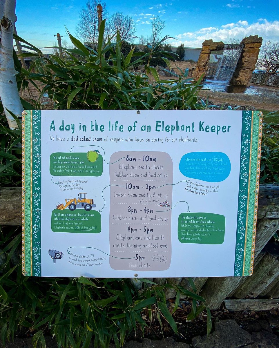 CunningWildlife's tweet photo. Some brilliant new interp (signage) @chesterzoo around the elephants and the greater one horned rhino.
Next time you’re visiting go learn about the 3 species of elephants and the difference between tusks, horns and antlers!
@LearnatCZ #thezoo #elephants #interp #zoo #education https://t.co/j1aoaUqRsi