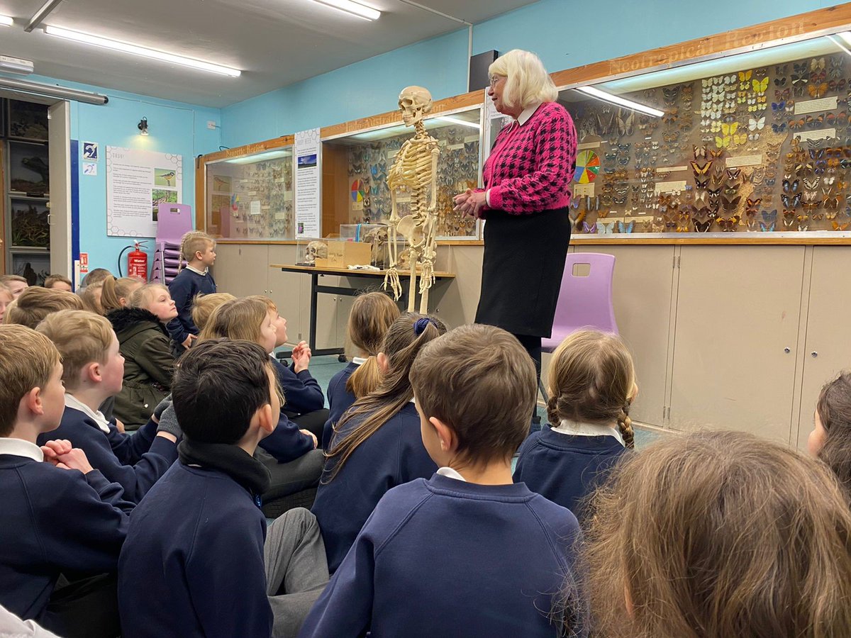 SouthwayJS's tweet photo. Turner class are ready to learn all about bones at the Booth Museum! We canβt wait to explore #funnybones #boothmuseum https://t.co/BQLVQsIrHS