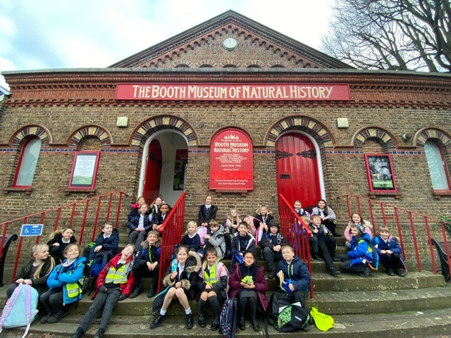 SouthwayJS's tweet photo. Turner class are ready to learn all about bones at the Booth Museum! We canβt wait to explore #funnybones #boothmuseum https://t.co/BQLVQsIrHS
