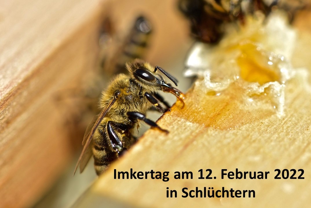 BWMK's tweet photo. 22. Imkertag des Bergwinkel-Imkereibedarfs in Schlüchtern
Wir freuen uns auch in diesem Jahr Sie am Samstag, den 12. Februar 2022 von 9 - 15 Uhr in 36381 Schlüchtern, Am Schafleger 2 begrüßen zu dürfen. Informationen und Bestellungen unter https://t.co/yE7JQrckUQ https://t.co/Uznvpm98Gi