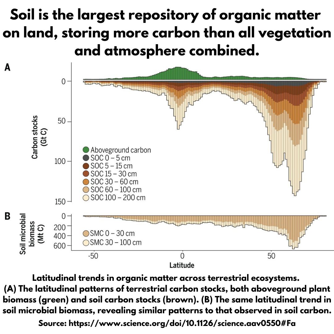 A stunning graph worth sharing. It shows how #soil is the largest repository of organic matter on land; storing more carbon than all vegetation AND atmosphere combined. It's one of many reasons why we must protect &amp; enhance our soils. #soilhealth
Source: science.org/doi/10.1126/sc…