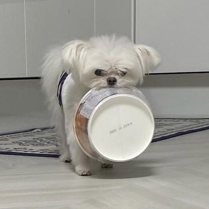 พัสดุมาส่งค้าบบบ