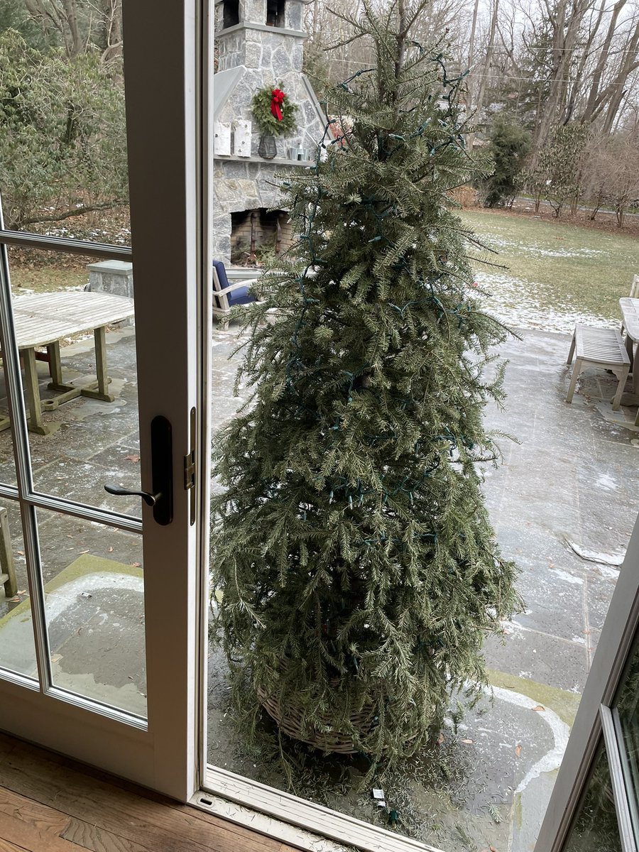 “Hey Craig, can you get rid of the tree?”

This is some shit.