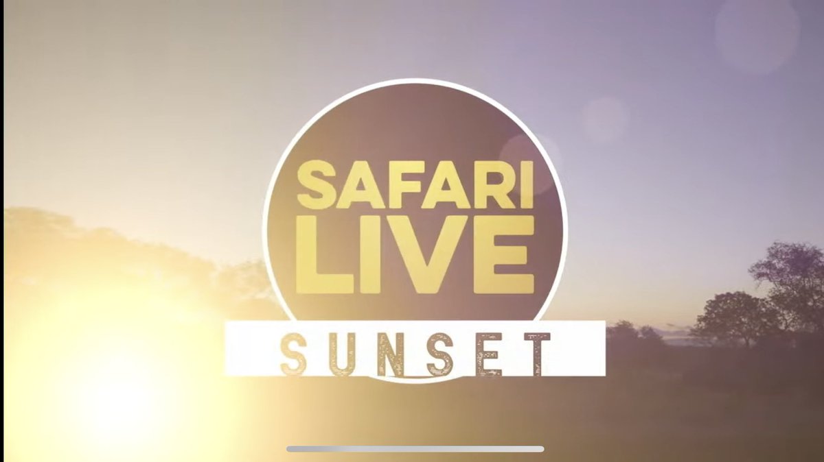 MichaeFleetwood's tweet photo. The SafariLive era ended three years ago.  #WildEarth https://t.co/1vyn2VOEPZ