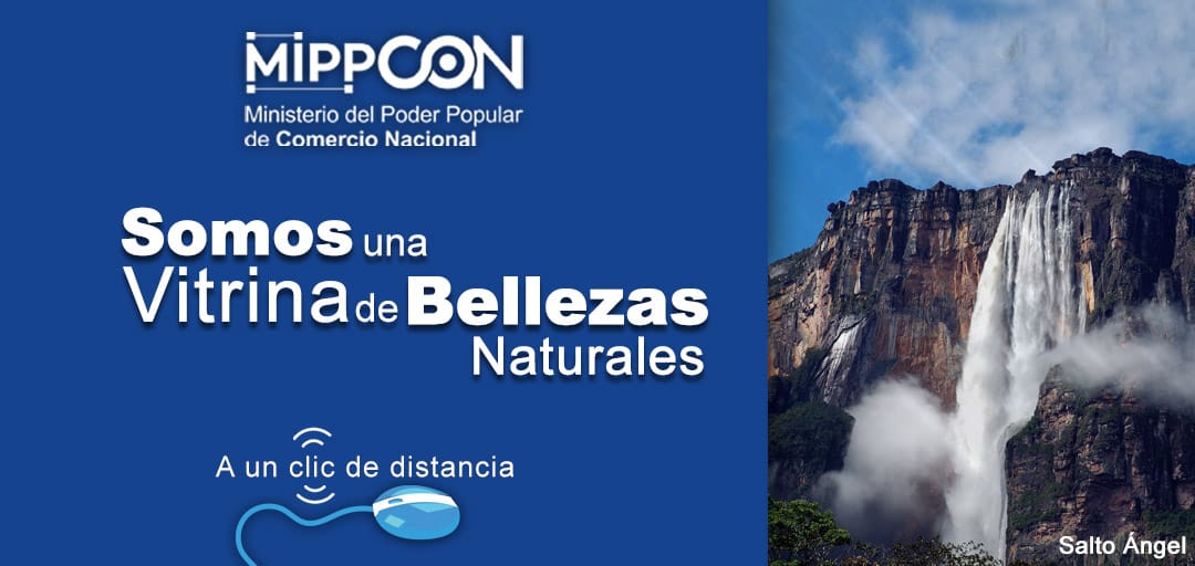 Así de majestuoso, como el Salto Ángel y toda nuestra diversidad natural.

#VenezuelaDePaz