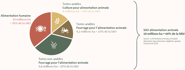 ARAD2_cerfrance's tweet photo. Quelle est la place des protéines laitières dans l'alimentation ? Résumé des apports du projet ERADAL de @InstitutElevage présentés par @B_Rouille_Idele lors du webinaire du @cniel 
https://t.co/opvgAsSRVG

@Cerfrance_5372 @Cerfrance_sn @CERFRANCE1450 @CerfranceOrne @Cerfrance https://t.co/ZtGFpBDpW9