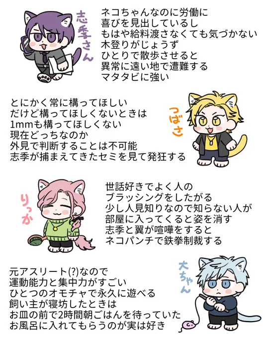 そりねこ幻覚 
