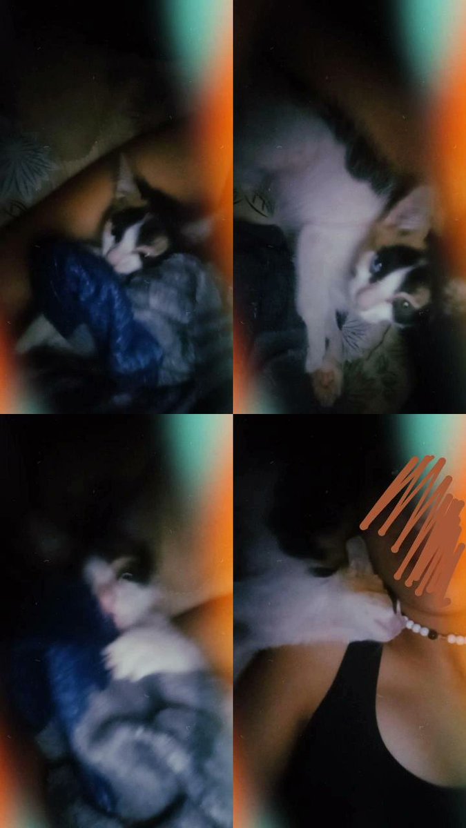 gliterzin's tweet photo. #gato #meubb
My baby ´^` https://t.co/SzHdFuscGd