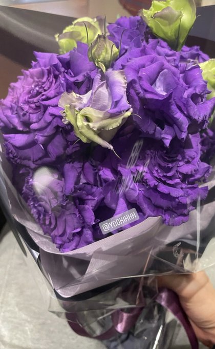 ストックの花のtwitterイラスト検索結果