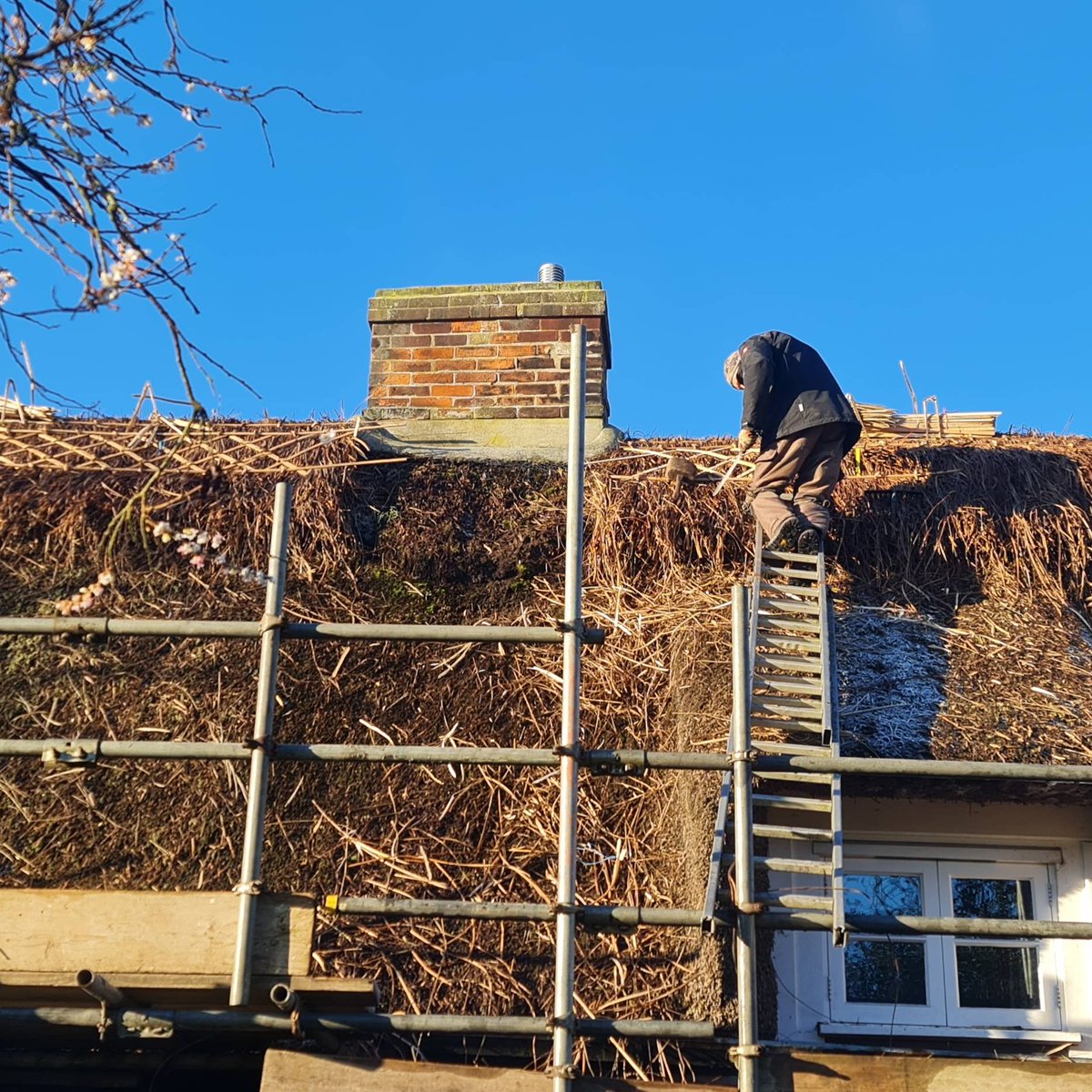 We've been taking a break since the New Year to give the cottage a new hair do. Still work in progress, but looking beautiful so far!