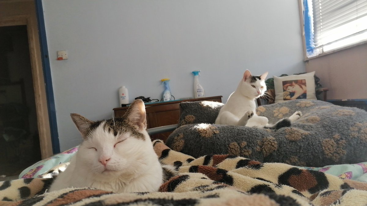 SchnappsChatPop's tweet photo. Day off with the boys. Hopefully from 6pm tonight over on @NovaradioNE I'll be distracted by the @EnglandNetball but still playing some tunes. https://t.co/bOgYoU3Eb9