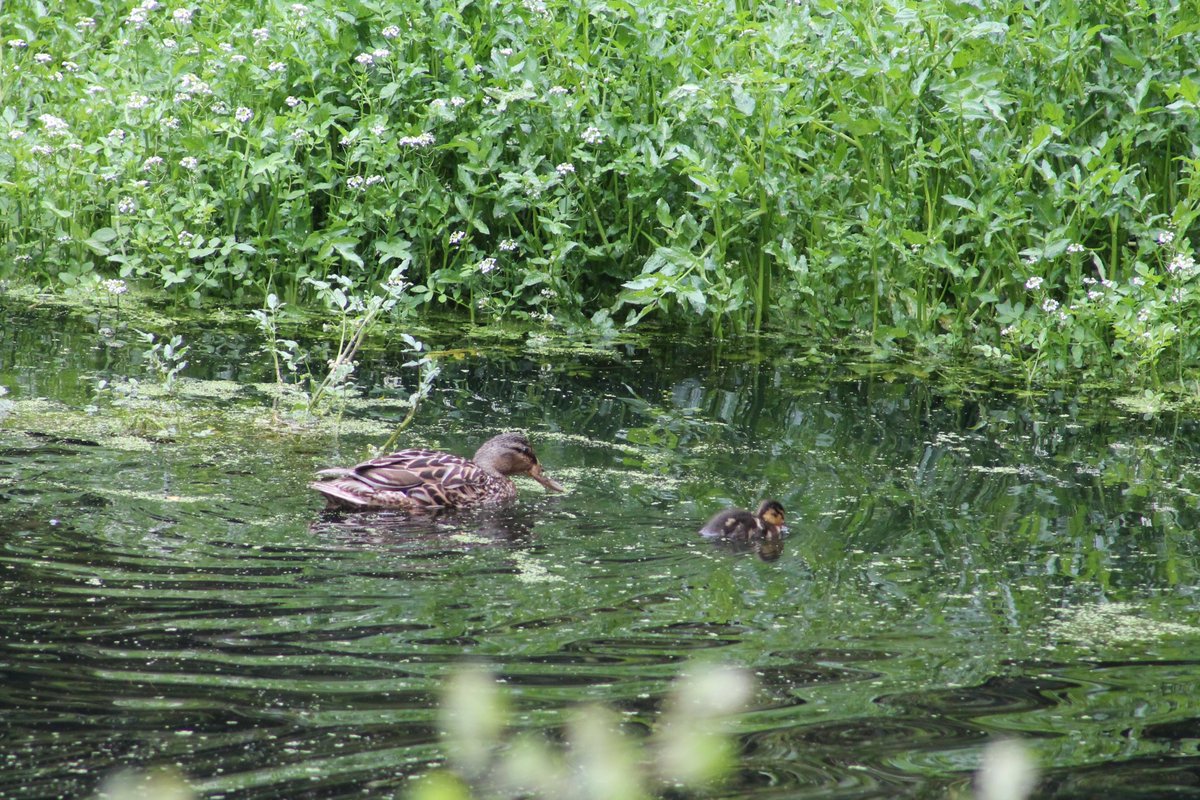 trabolgan's tweet photo. Exploring the great outdoors and getting back to nature at one of our picnic area's here at @trabolgan beside our pond. So much to do, so much to see on your 2022 family staycation break.
For more visit https://t.co/PWl7CKncl3
#gettingbacktonature #familystaycations2022 https://t.co/nQuLWN3tfS
