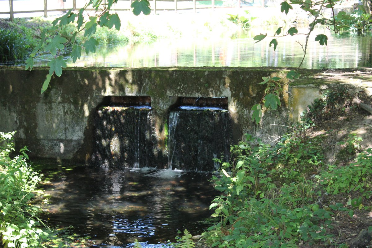 trabolgan's tweet photo. Exploring the great outdoors and getting back to nature at one of our picnic area's here at @trabolgan beside our pond. So much to do, so much to see on your 2022 family staycation break.
For more visit https://t.co/PWl7CKncl3
#gettingbacktonature #familystaycations2022 https://t.co/nQuLWN3tfS
