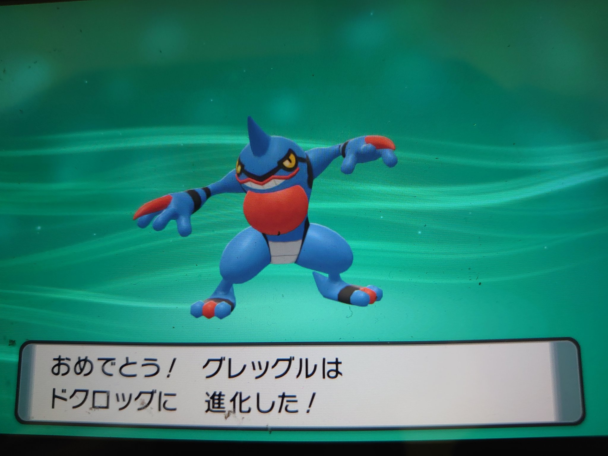 紅人 あかいと Pa Twitter 私のグレッグルがドクロッグに進化しました ポケモンbd ポケモンbdsp ポケモンダイパリメイク T Co 501wv4au4k Twitter