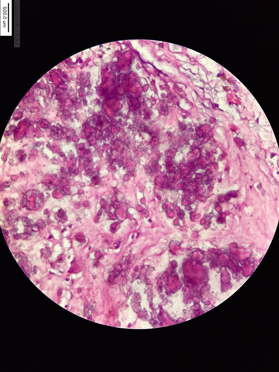 marquess raj tweet media