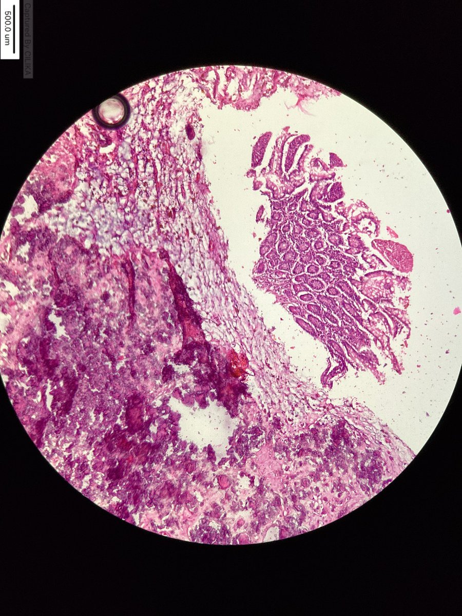 marquess raj tweet media