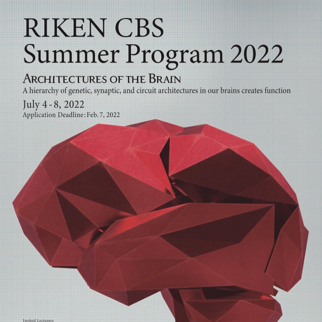 IBROorg's tweet photo. #IBROtraining #IBROpartner #advancedneuroscience The Riken Summer School "Architectures of the Brain” is open for applications until February 7. More information https://t.co/egs2ML1QeQ https://t.co/jzOZeYLodo