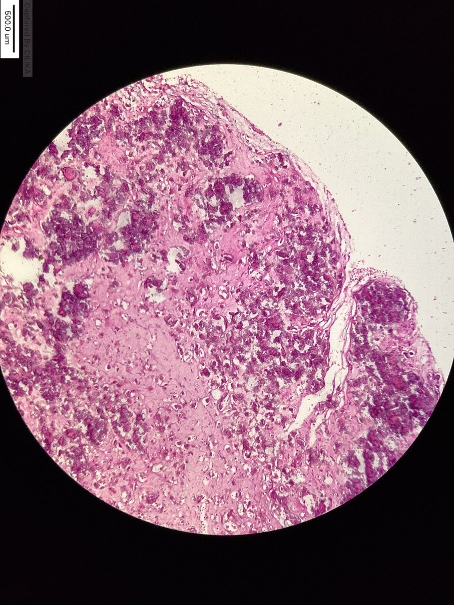 marquess raj tweet media