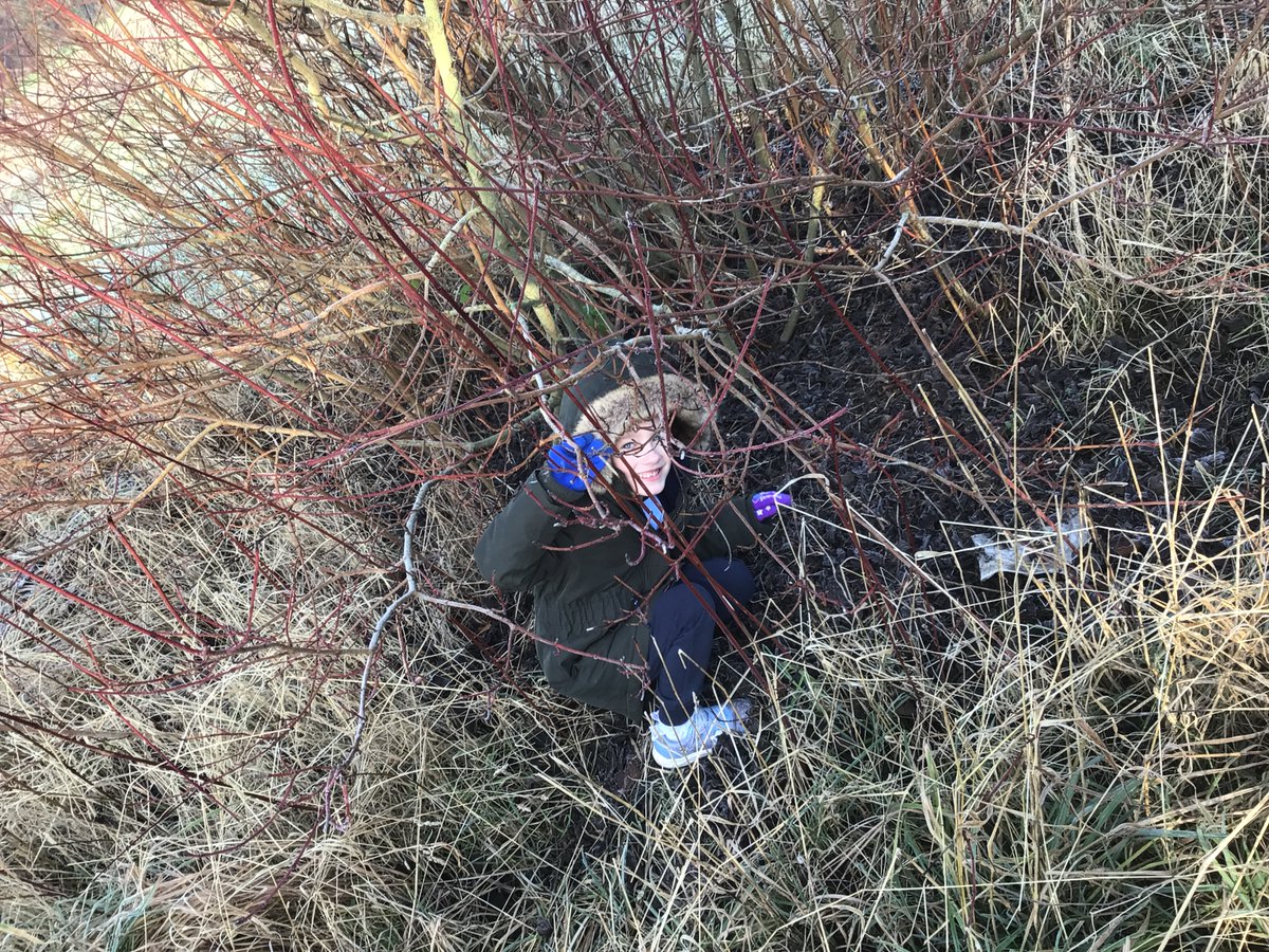 DunstonPrimary's tweet photo. The Green Apples have been out exploring our fabulous forest area. It was a very crisp icy morning and they were really interested in how our natural world changes with the cold weather #SpiresFed #SpiresOutdoorLearning #SpiresEYFS https://t.co/YomovDm4DC