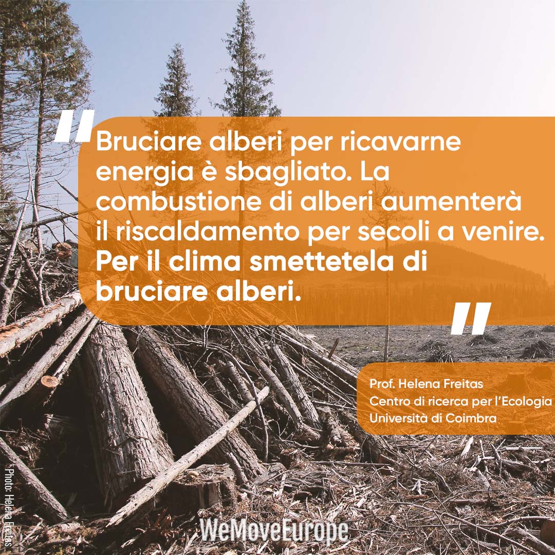 Enric013's tweet photo. 🔥I migliori scienziati per il clima lanciano  l’allarme @PaoloBorchia : è ora di smettere di bruciare le foreste per produrre energia. Non seguite @MarinSanna o a @SwedishPM che vogliono continuare a bruciare le  foreste🌲🔥#StopFakeRenewables
https://t.co/Wp99pR1u0K