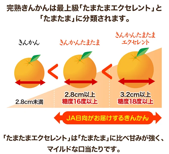 「たまたま」と呼ばれるブランドのきんかんがあるけど？最上位の呼び方がこれwww