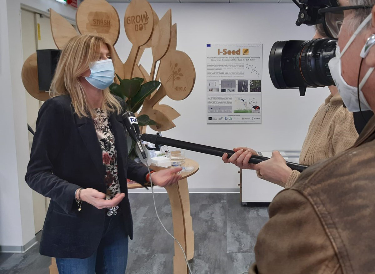 Today in our lab @BSRiit: our Coordinator Barbara #Mazzolai interviewed by the regional TV news - Tg Liguria - is talking about plant-inspired robots.. and about our I-Seed project