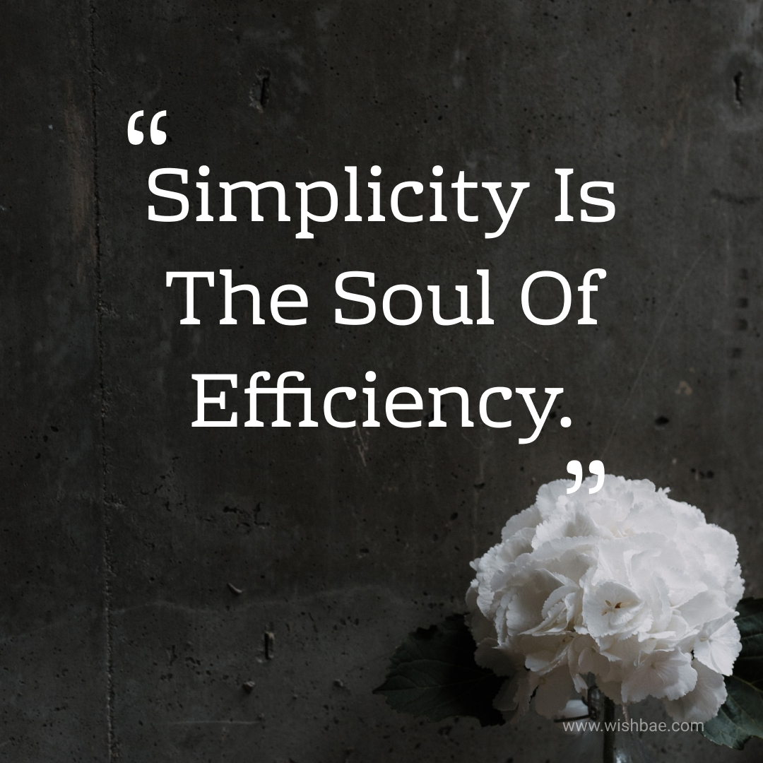 wishbaeofficial's tweet photo. #Simplicty #quotes https://t.co/e8HVMiDErL