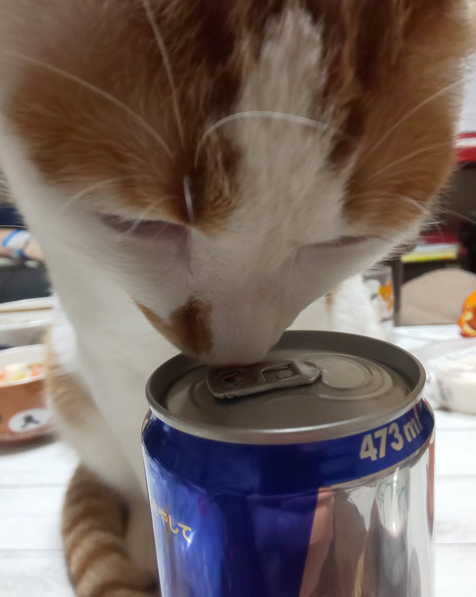 huevo_xxx's tweet photo. #RedBull #473ml でっかい!
「キリッと冷やして」って書いてある。やっぱり燗はだめだな。 https://t.co/eJhWDiyiDf