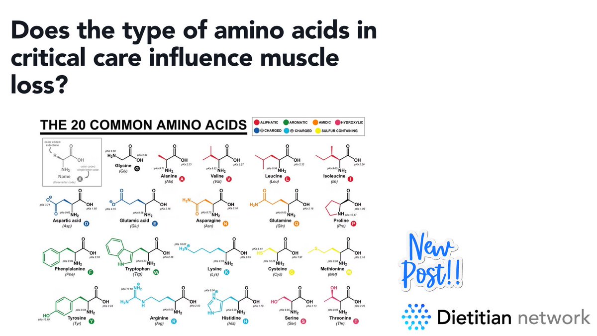 📬 New post on @DietitianNWork Does the type of amino acids in critical care influence muscle loss? 🚀 Explore today with a FREE 7-day trial. 
📍dietitian.network