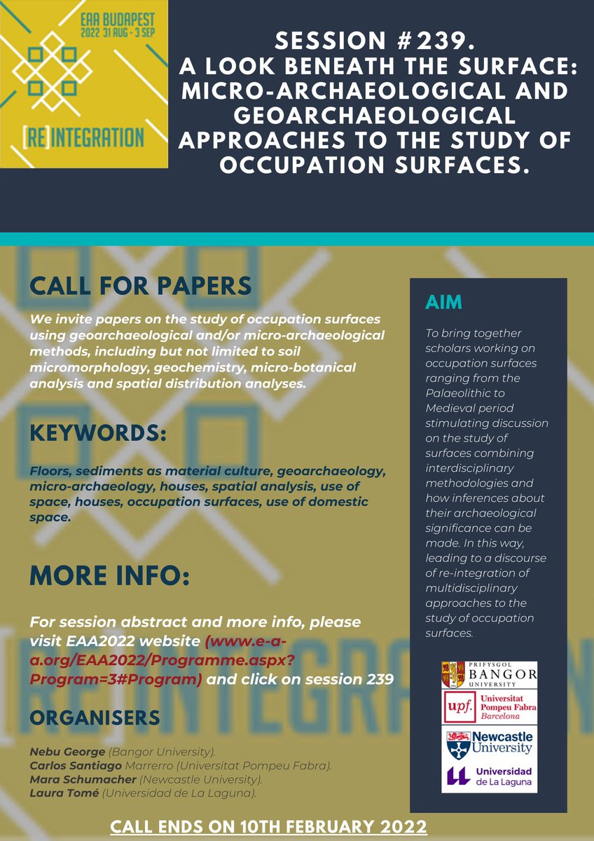 Laura Tomé tweet media