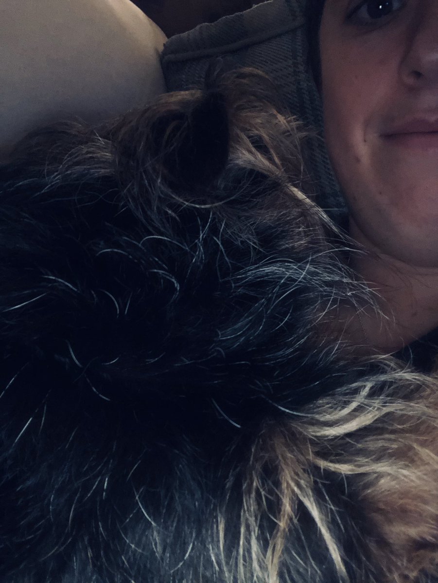 elanajones's tweet photo. I can’t believe this is happening, 2 dogs in 3 weeks 😭 I love you Amy, I miss you so much, thank you for everything you did for me 😭😭😭 https://t.co/Cq4V6SgNB7