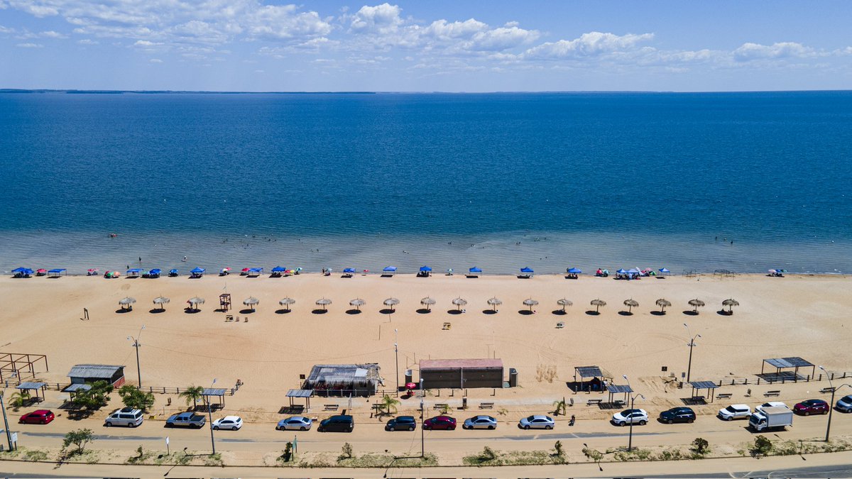 Oscar Rivet tweet media