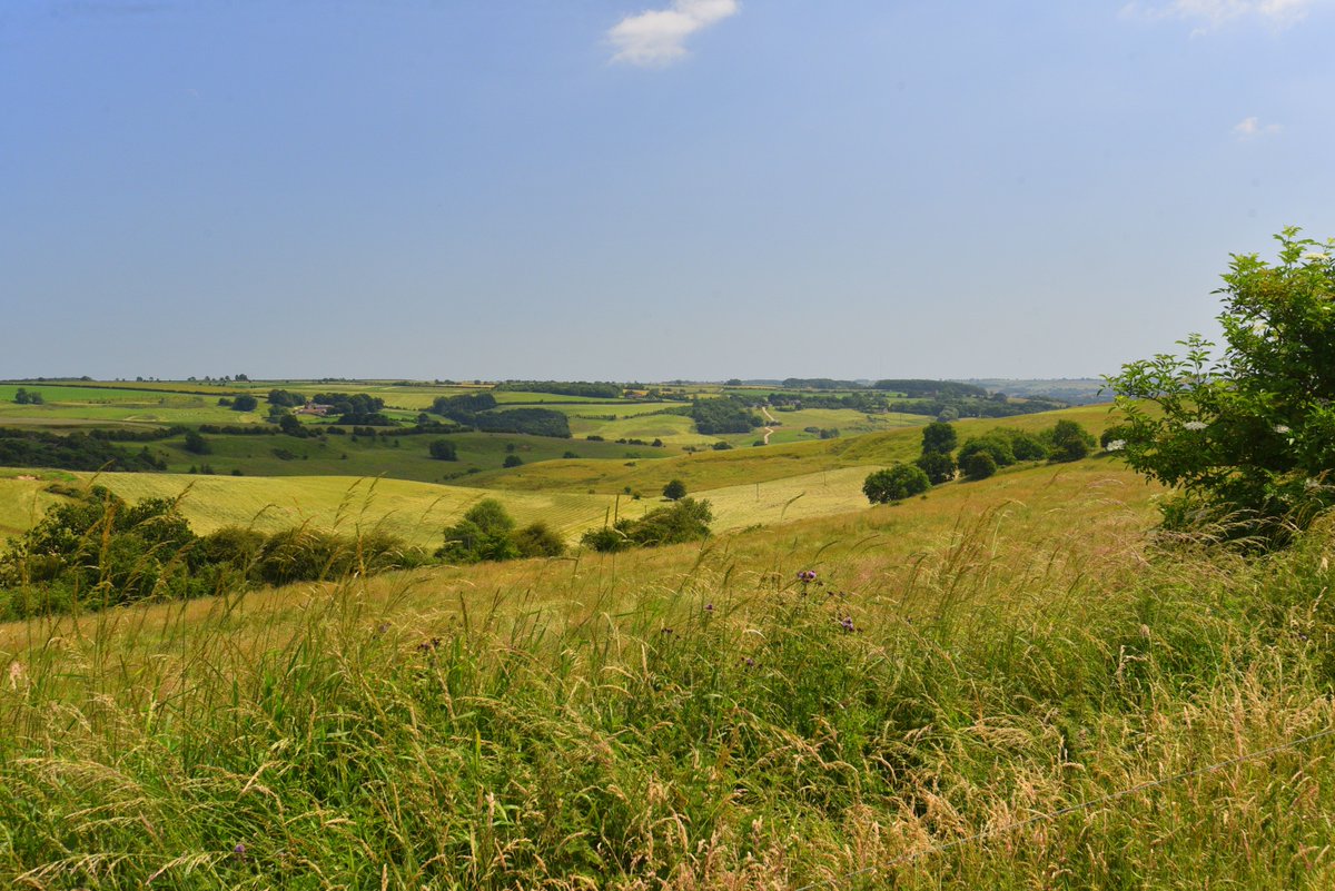Love Lincs Wolds tweet media