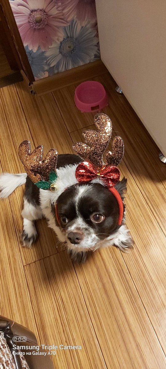 EstaticaSound's tweet image. 