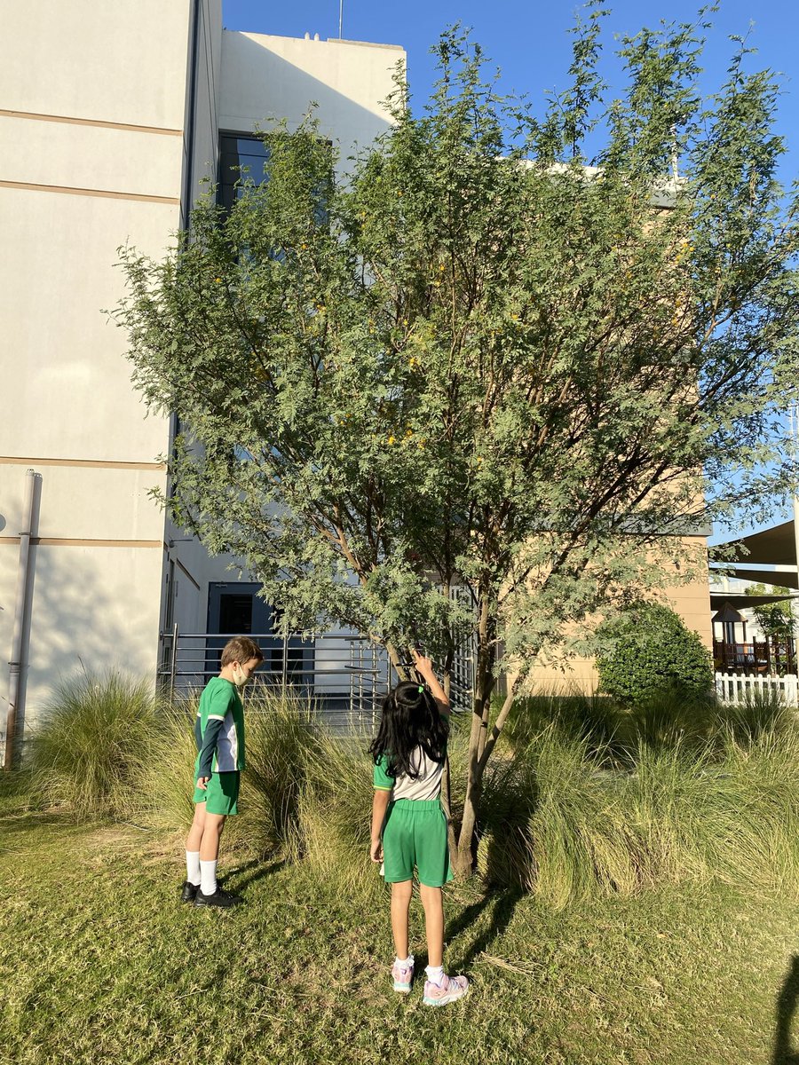 ArborEnviro's tweet photo. How can we find out what wildlife exists in our community? By looking of course! 🔍🌿 @ArborYear2 have been observing wildlife over the last two weeks to see what creatures are living around us here at @ArborDubai! What do you think we found? #Ecoliteracy #placebasedlearning https://t.co/oIyvI2bzzQ