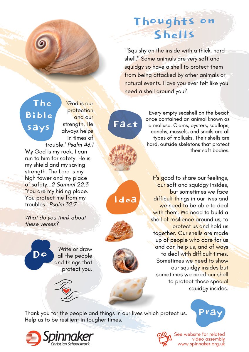 Spinnakertrust1's tweet image. #ThoughtsOn Shells: Shells – Shells protect. Who and what makes up your shell, to help you in difficult times? 
For Pdf version - bit.ly/3AkB119
#ClassReflection
#CircleTime
#QuietTime
